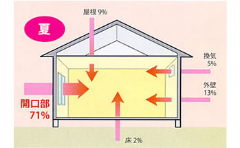 eco03-02.jpg