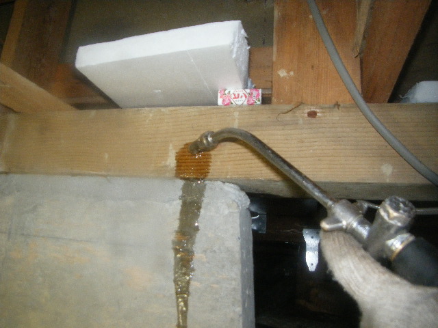 DSCF3088.JPG