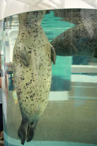 IMG_1025