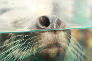 IMG_1076