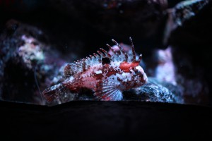 IMG_1275